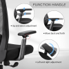 High back office mesh chair with lumbar support; color black; 300lbs
