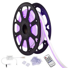 LED Neon Light Strip (Warehouse: LA01)
